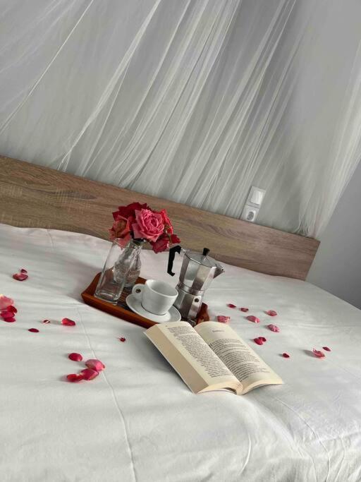 Sissi Olive Home المظهر الخارجي الصورة